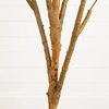 image:imageNearly Natural 3 ft Artificial Olive Tree with Natural Trunk for Decor7ft
