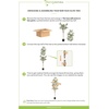 image:imageNearly Natural 3 ft Artificial Olive Tree with Natural Trunk for Decor7ft