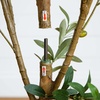 image:imageNearly Natural 3 ft Artificial Olive Tree with Natural Trunk for Decor8ft