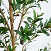 image:imageNearly Natural 3 ft Artificial Olive Tree with Natural Trunk for Decor9ft