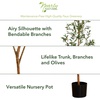 image:imageNearly Natural 3 ft Artificial Olive Tree with Natural Trunk for Decor9ft