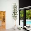 image:imageNearly Natural 3 ft Artificial Olive Tree with Natural Trunk for Decor9ft