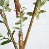 image:imageNearly Natural 3 ft Artificial Olive Tree with Natural Trunk for Decor9ft