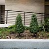 image:imageNearly Natural 3 ft UVResistant Artificial Boxwood Set of 2 with Stake