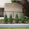 image:imageNearly Natural 3 ft UVResistant Artificial Boxwood Set of 2 with Stake