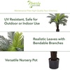 image:imageNearly Natural 3 ft UVResistant Artificial Cycas Tree with Pot