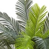 image:imageNearly Natural 3 ft UVResistant Artificial Cycas Tree with Pot