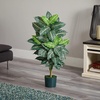 image:imageNearly Natural 3 ft Zebra Artificial Plant with Striped Leaves and Pot