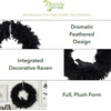 image:imageNearly Natural 30in Halloween Raven Feather Wreath