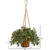 image:imageNearly Natural 30in Mini Melon Artificial Plant in Hanging Basket UV Resistant IndoorOutdoor