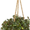 image:imageNearly Natural 30in Mini Melon Artificial Plant in Hanging Basket UV Resistant IndoorOutdoor