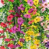 image:imageNearly Natural 30in UV Resistant Artificial Daisy Hanging Plant IndoorOutdoor  Set of 6Assorted 1