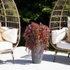 image:imageNearly Natural 30in UV Resistant Artificial Daisy Hanging Plant IndoorOutdoor  Set of 6Assorted 2