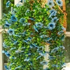 image:imageNearly Natural 30in UV Resistant Artificial Daisy Hanging Plant IndoorOutdoor  Set of 6Blue