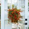 image:imageNearly Natural 30in UV Resistant Artificial Daisy Hanging Plant IndoorOutdoor  Set of 6Orange