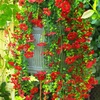 image:imageNearly Natural 30in UV Resistant Artificial Daisy Hanging Plant IndoorOutdoor  Set of 6Red