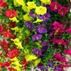 image:imageNearly Natural 30in UV Resistant Artificial Morning Glory Hanging Plant IndoorOutdoor  Set of 6Assorted 1
