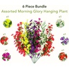 image:imageNearly Natural 30in UV Resistant Artificial Morning Glory Hanging Plant IndoorOutdoor  Set of 6Assorted 1