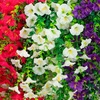 image:imageNearly Natural 30in UV Resistant Artificial Morning Glory Hanging Plant IndoorOutdoor  Set of 6Assorted 2