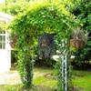 image:imageNearly Natural 30in UV Resistant Artificial Morning Glory Hanging Plant IndoorOutdoor  Set of 6Purple