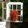 image:imageNearly Natural 30in UV Resistant Artificial Morning Glory Hanging Plant IndoorOutdoor  Set of 6Red