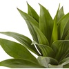 image:imageNearly Natural 32 in Artificial Agave Plant with Stem Home Office Decor