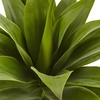 image:imageNearly Natural 32 in Artificial Agave Plant with Stem Home Office Decor