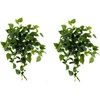 image:imageNearly Natural 32Inch UV Resistant Artificial Philodendron Hanging Plant Set of 2 Lifelike Greenery for Indoor and Outdoor Dcor
