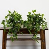 image:imageNearly Natural 32Inch UV Resistant Artificial Philodendron Hanging Plant Set of 2 Lifelike Greenery for Indoor and Outdoor Dcor