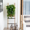 image:imageNearly Natural 32Inch UV Resistant Artificial Philodendron Hanging Plant Set of 2 Lifelike Greenery for Indoor and Outdoor Dcor