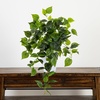 image:imageNearly Natural 32Inch UV Resistant Artificial Philodendron Hanging Plant Set of 2 Lifelike Greenery for Indoor and Outdoor Dcor