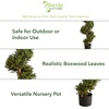 image:imageNearly Natural 33 in Artificial Boxwood Spiral Topiary Tree with Planter