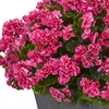 image:imageNearly Natural 33 in Artificial Geranium Plant in Slate Planter Porch DecorBeauty