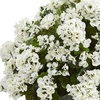image:imageNearly Natural 33 in Artificial Geranium Plant in Slate Planter Porch DecorWhite