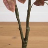 image:imageNearly Natural 35 ft Artificial Autumn Dogwood Fall Tree for Corner Decor