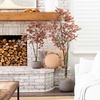 image:imageNearly Natural 35 ft Artificial Autumn Dogwood Fall Tree for Corner Decor