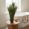 image:imageNearly Natural 35 in Artificial Sansevieria Plant with Black Planter