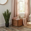 image:imageNearly Natural 35 in Artificial Sansevieria Plant with Black Planter