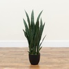 image:imageNearly Natural 35 in Artificial Sansevieria Plant with Black Planter