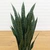 image:imageNearly Natural 35 in Artificial Sansevieria Plant with Black Planter