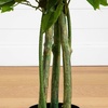 image:imageNearly Natural 35ft UV Resistant Artificial Ficus Tree IndoorOutdoor  Realistic Fake Tree for Home Decor