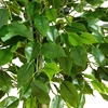 image:imageNearly Natural 35ft UV Resistant Artificial Ficus Tree IndoorOutdoor  Realistic Fake Tree for Home Decor