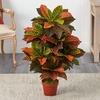 image:imageNearly Natural 36 in Artificial Croton Real Touch Plant Room Decor