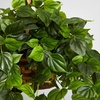 image:imageNearly Natural 36 in Artificial Philodendron Hanging Basket Outdoor Decor