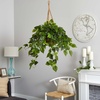 image:imageNearly Natural 36 in Artificial Philodendron Hanging Basket Outdoor Decor