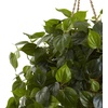 image:imageNearly Natural 36 in Artificial Philodendron Hanging Basket Outdoor Decor