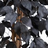 image:imageNearly Natural 3ft Artificial Halloween Black Ficus Tree with Natural Trunk  Indoor Decor for Spooky Gatherings