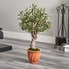 image:imageNearly Natural 3ft Olive Artificial Tree in Terracotta Planter