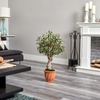 image:imageNearly Natural 3ft Olive Artificial Tree in Terracotta Planter