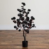 image:imageNearly Natural 3ft PreLit Artificial Halloween Black Eucalyptus Tree with 80 Orange amp Purple LED Lights